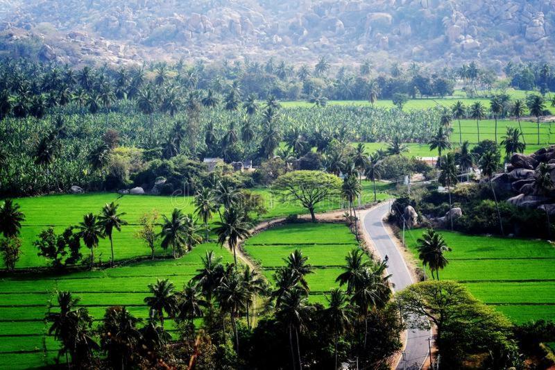 Lee Homestay Hampi Ngoại thất bức ảnh
